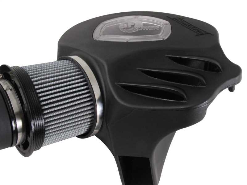 Momentum Pro DRY S Air Intake System 51-82202